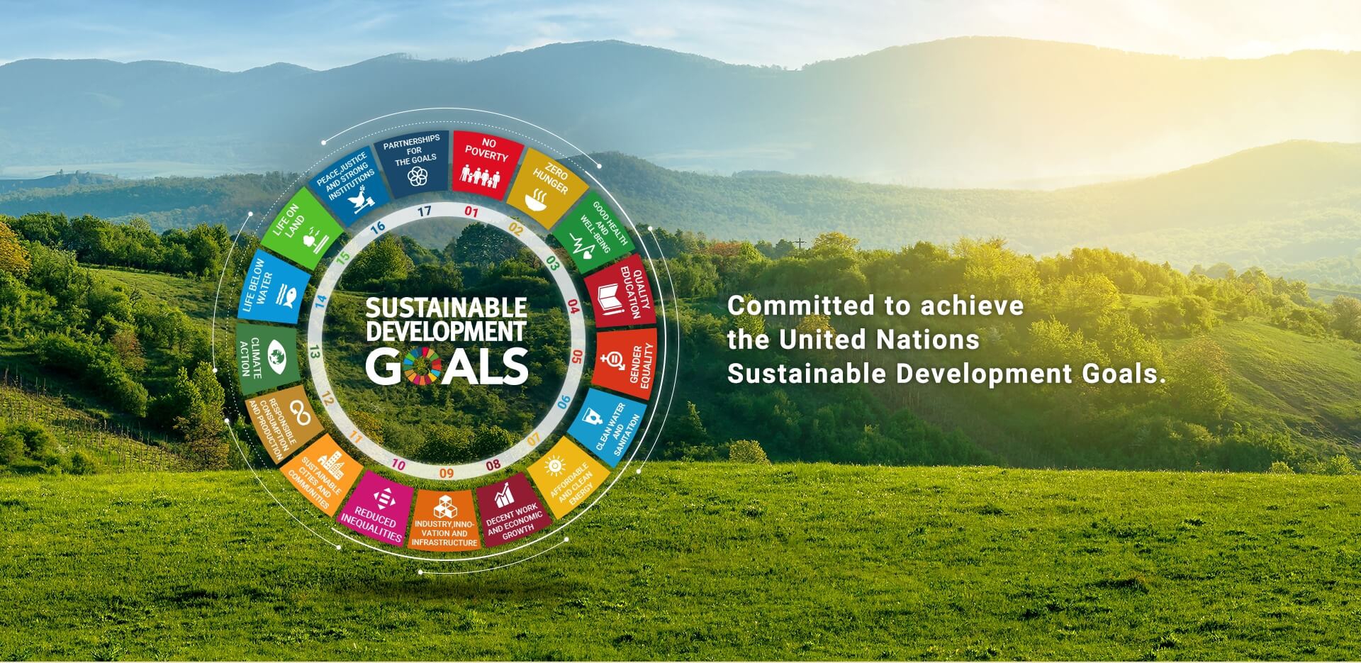 Sustainable Development Goals (SDGs)