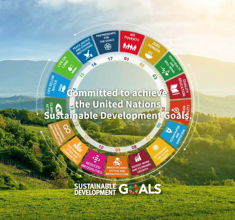 Sustainable Development Goals (SDGs)