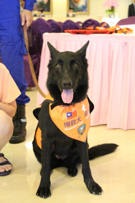 Sponsorship Ceremony for Sunny our Rescue Hero