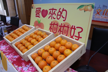 Chang Yung-Fa Charity Foundation donated 1,000 crates of tangors to social welfare groups in Hsinchu County