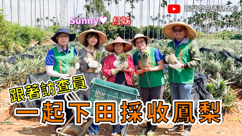 特別企劃 – 跟著訪查員一起下田採收鳳梨 / Sunny ★ 紅姊